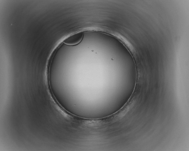 X0000112200902200908211538