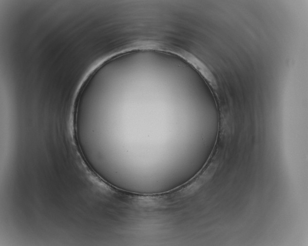 X0000112200904200908211538