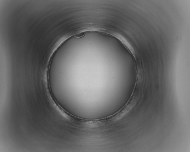 X0000112200906200908211538