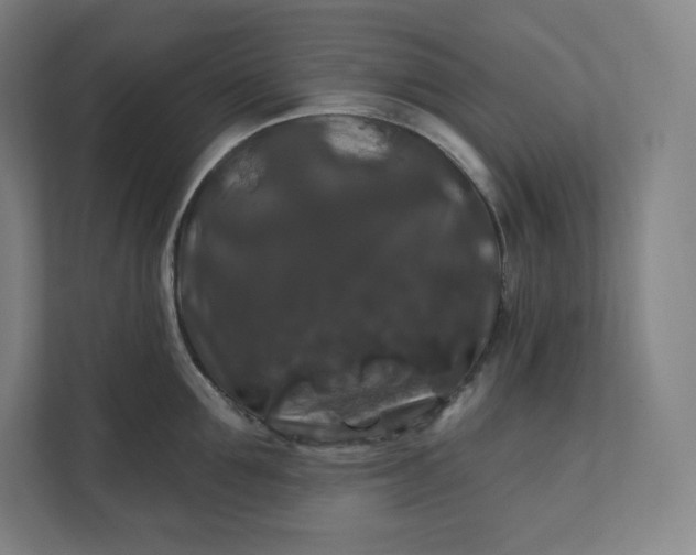 X0000112200907200908211538