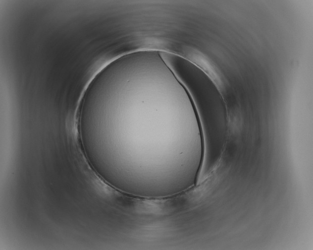 X0000112200908200908211538