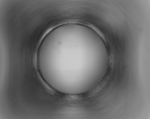 X0000112200911200908211538