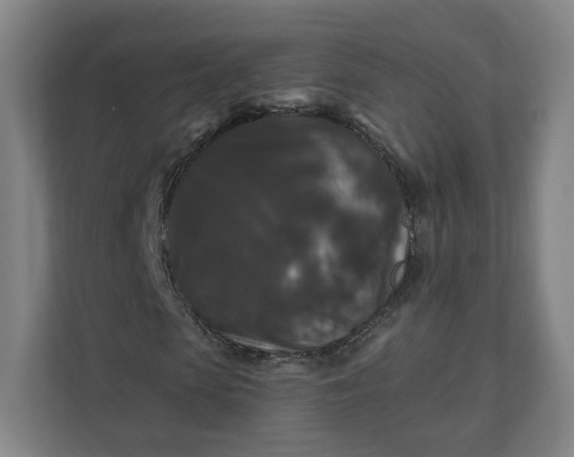 X0000112200913200908211537