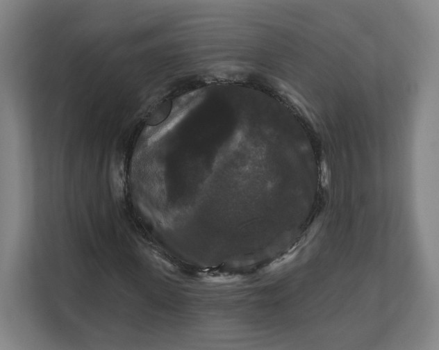 X0000112200915200908211537