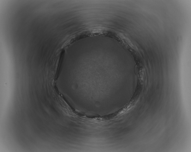 X0000112200916200908211537