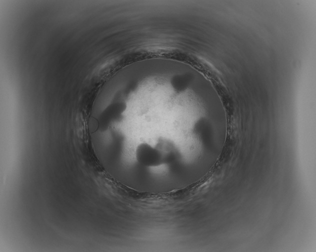 X0000112200917200908211537