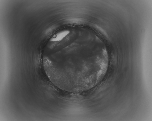 X0000112200918200908211537