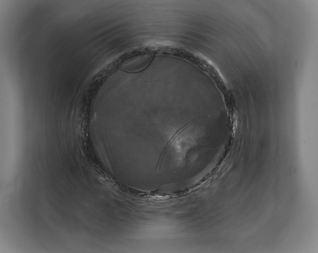 X0000112200919200908211537