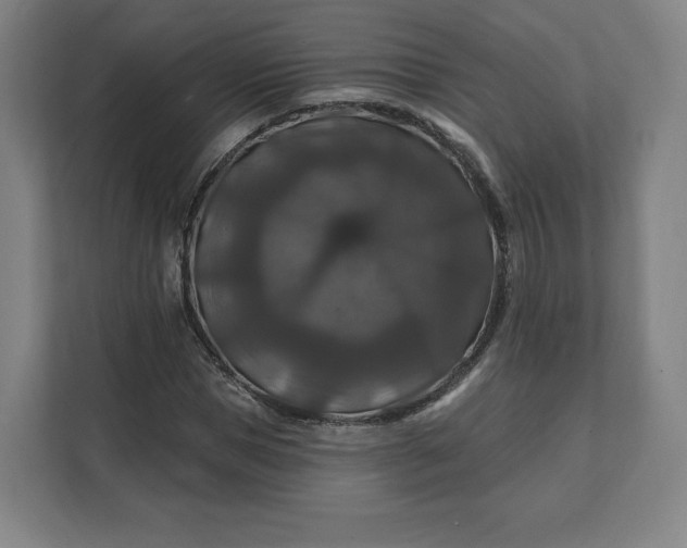 X0000112200921200908211537