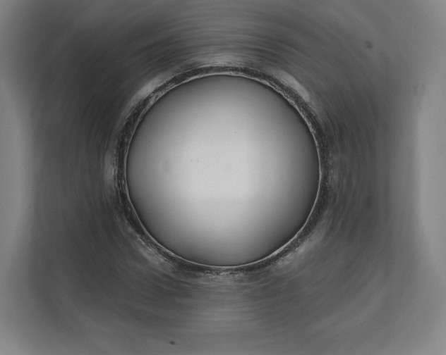 X0000112200922200908211537