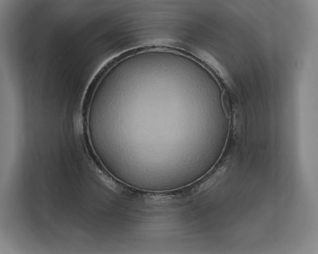 X0000112200924200908211537