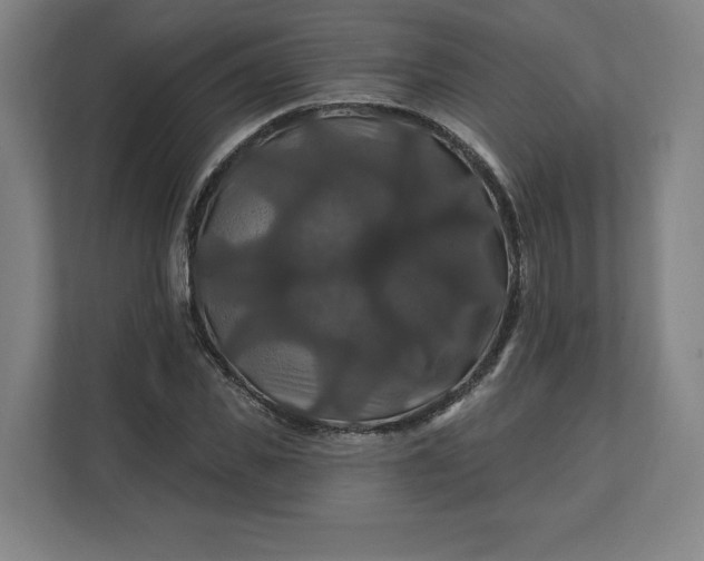 X0000112200925200908211537