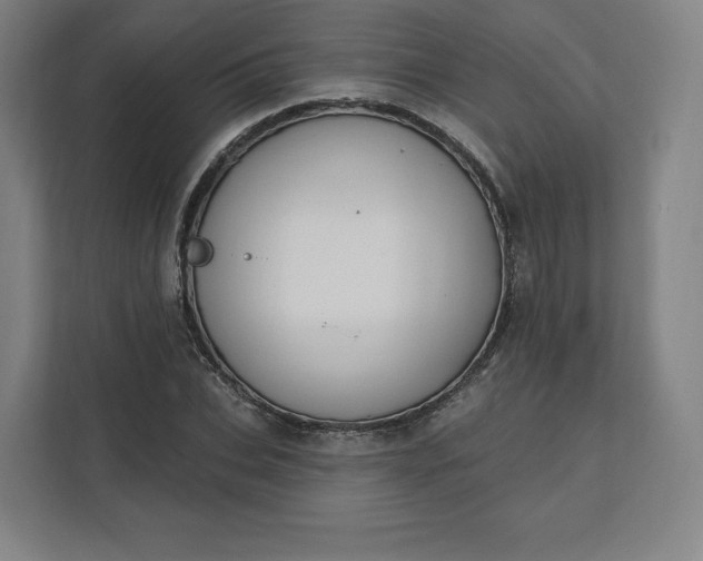 X0000112200927200908211537