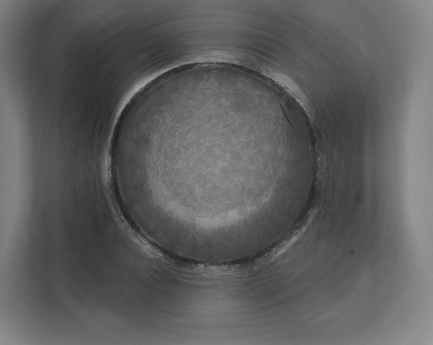 X0000112200928200908211537