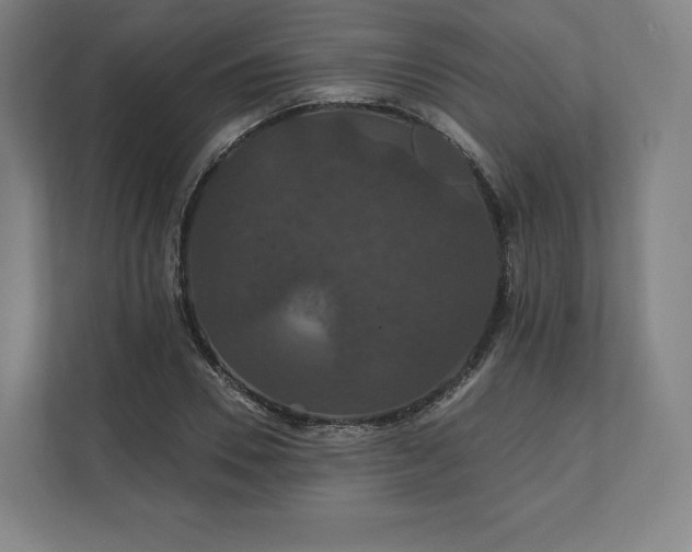 X0000112200930200908211537