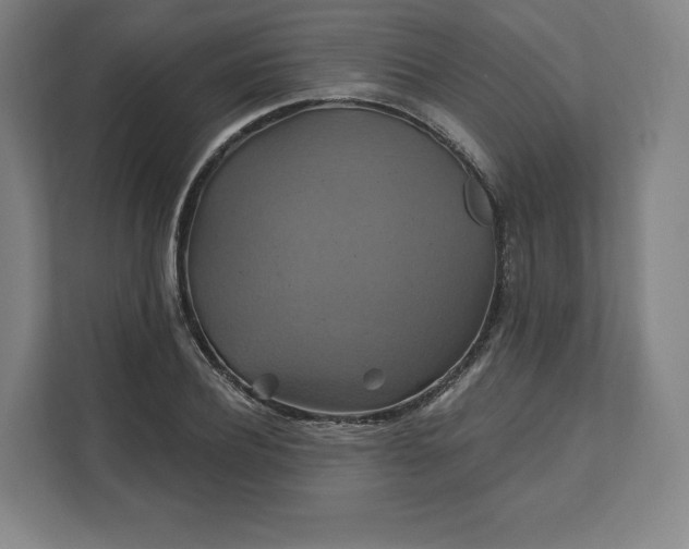 X0000112200932200908211537