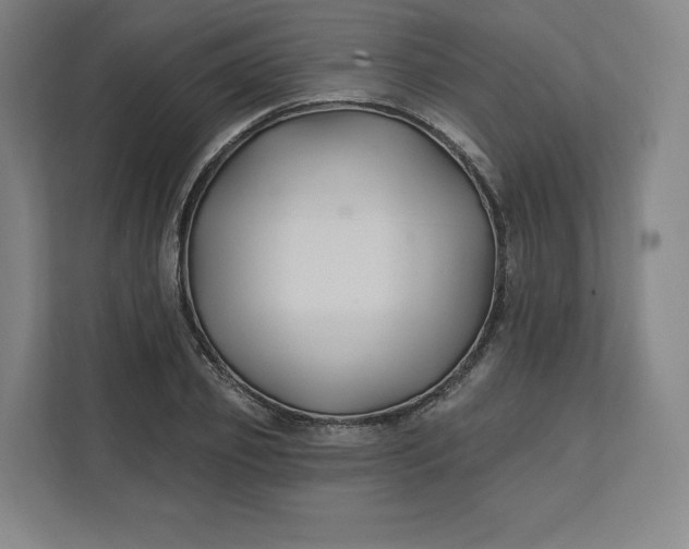 X0000112200933200908211537