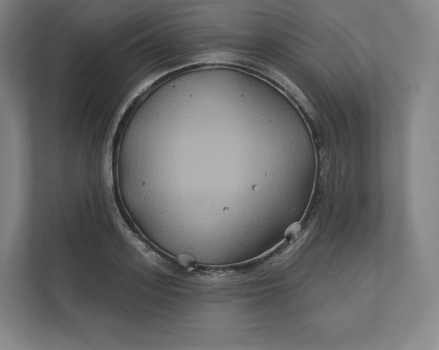 X0000112200939200908211538