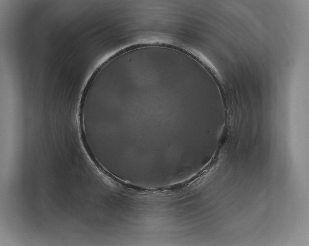 X0000112200943200908211538