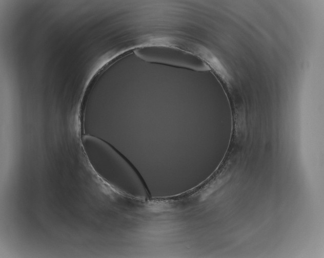 X0000112200944200908211538