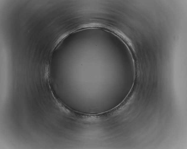 X0000112200945200908211538