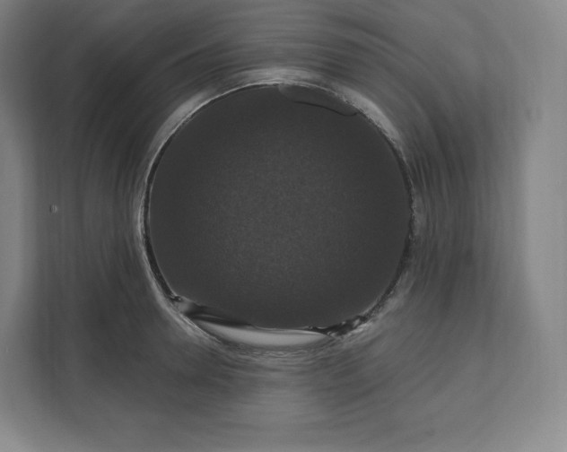 X0000112200946200908211538