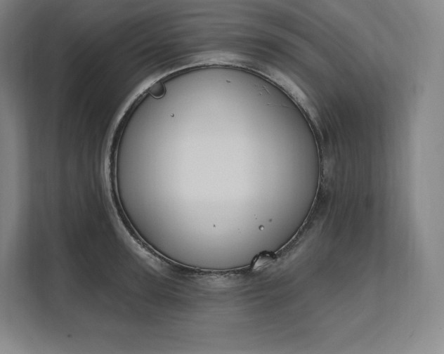 X0000112200947200908211538