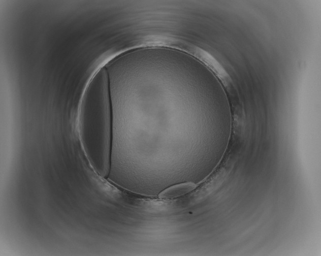 X0000112200948200908211538