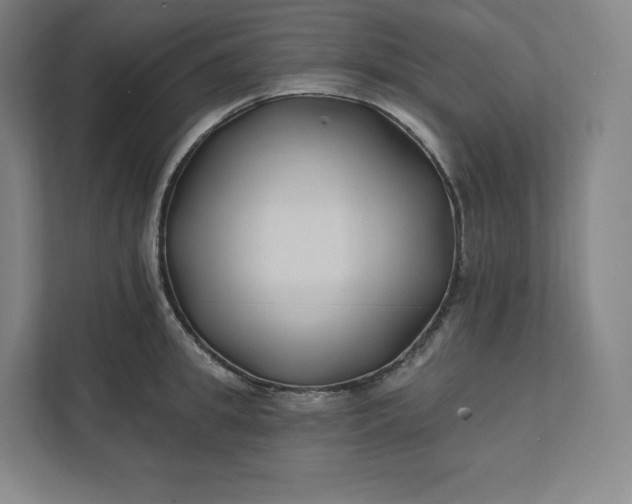 X0000112200949200908211538