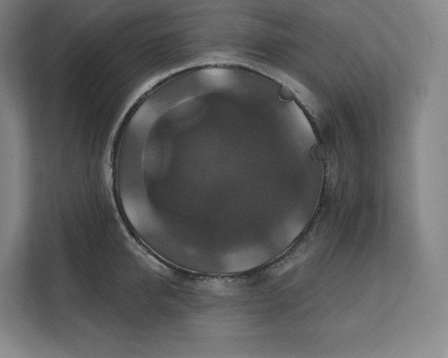 X0000112200950200908211538