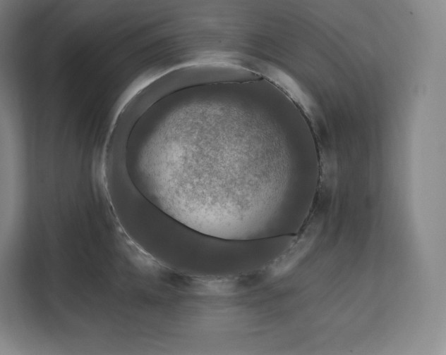 X0000112200952200908211538