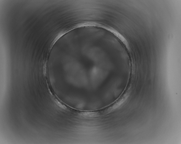 X0000112200953200908211538