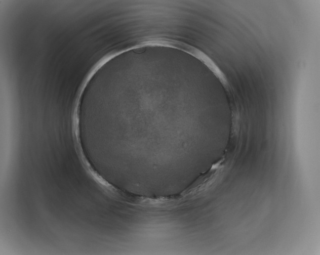 X0000112200955200908211538