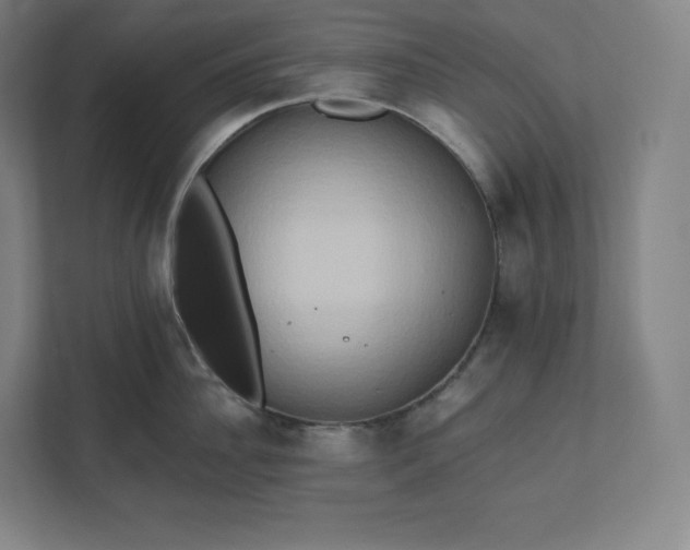 X0000112200956200908211538