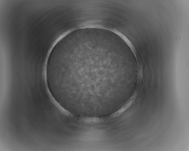 X0000112200957200908211538