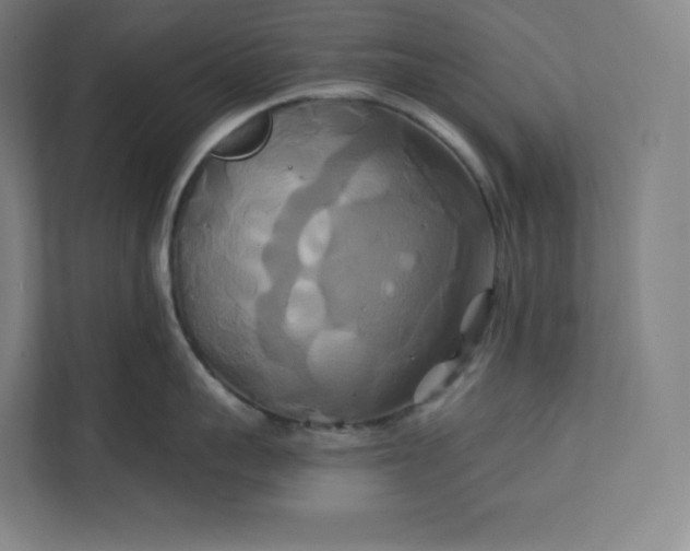 X0000112200959200908211538