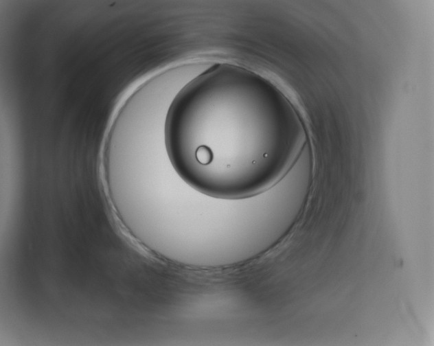 X0000112200960200908211538