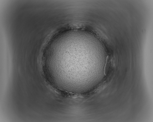 X0000112200961200908211537