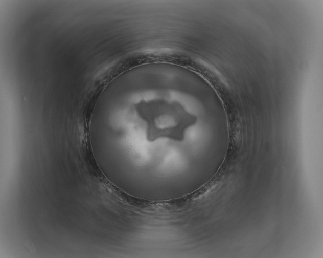 X0000112200966200908211537