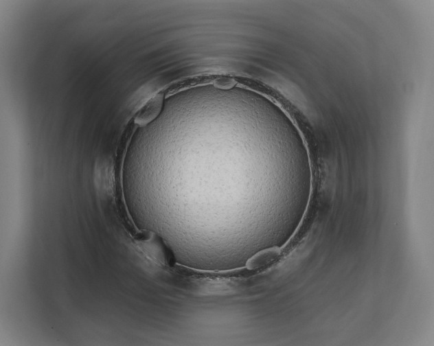 X0000112200969200908211537