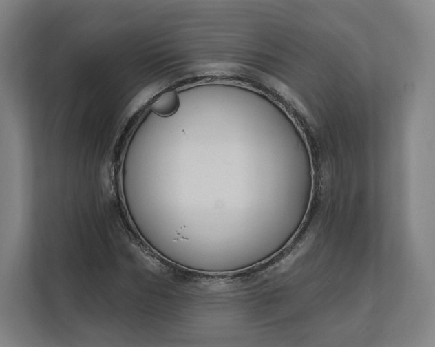 X0000112200970200908211537