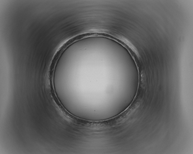 X0000112200972200908211537