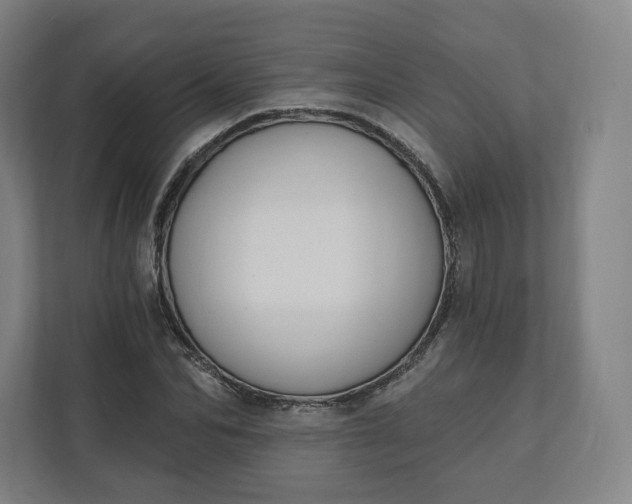 X0000112200974200908211537