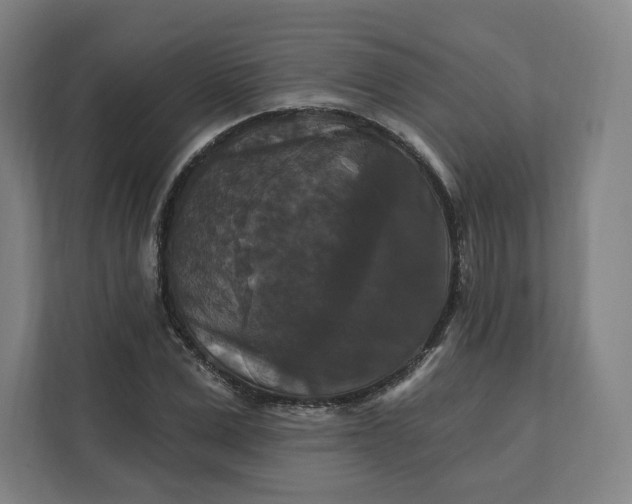 X0000112200975200908211537