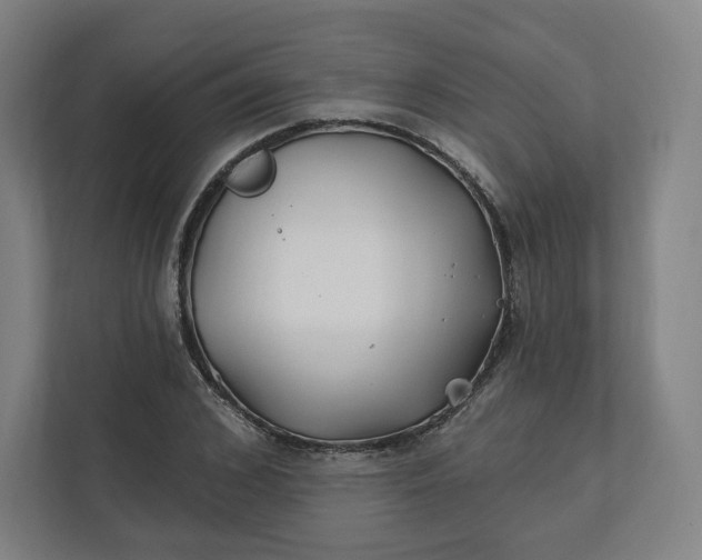 X0000112200976200908211537