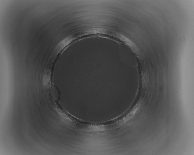 X0000112200977200908211537