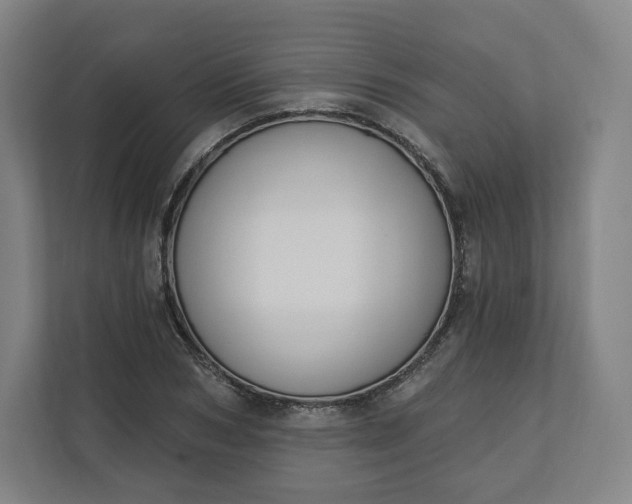 X0000112200978200908211537