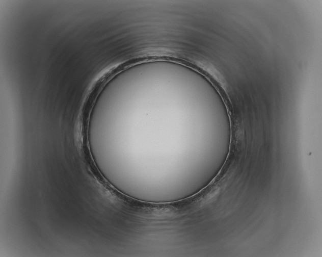 X0000112200979200908211537