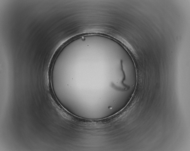 X0000112200980200908211537