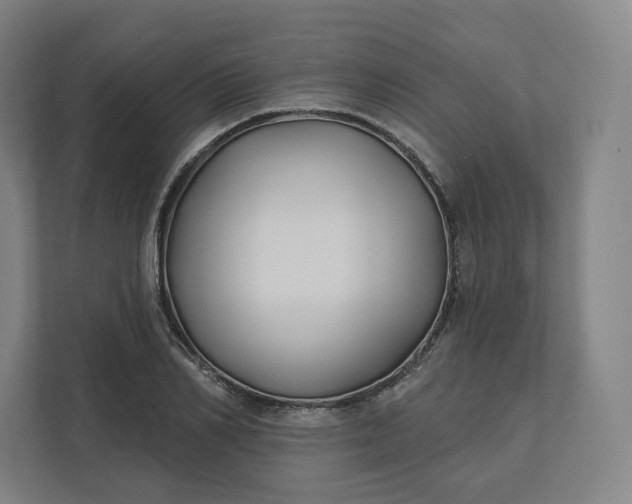 X0000112200982200908211537